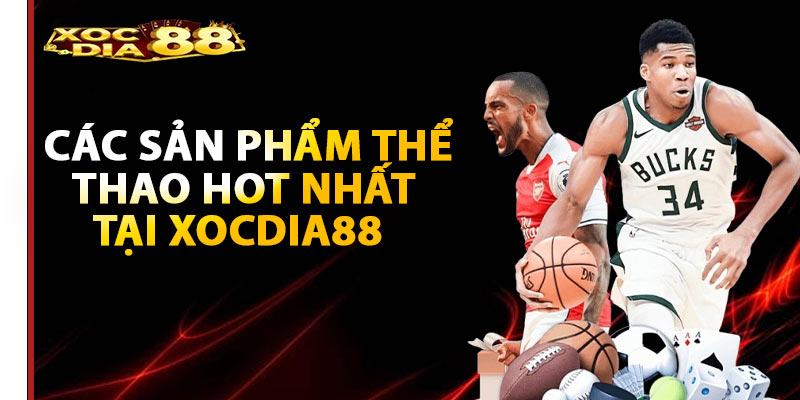 Top các sản phẩm thể thao hot nhất tại Xocdia88